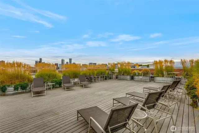 Spacious Roof Top Deck with Wonderful views