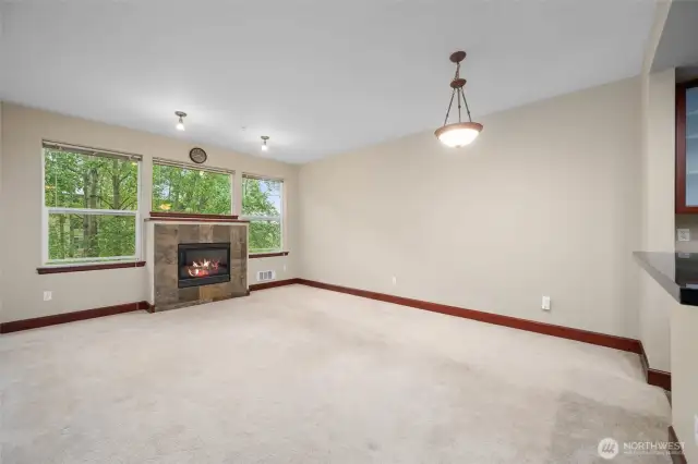 with views into greenspace and gas fireplace