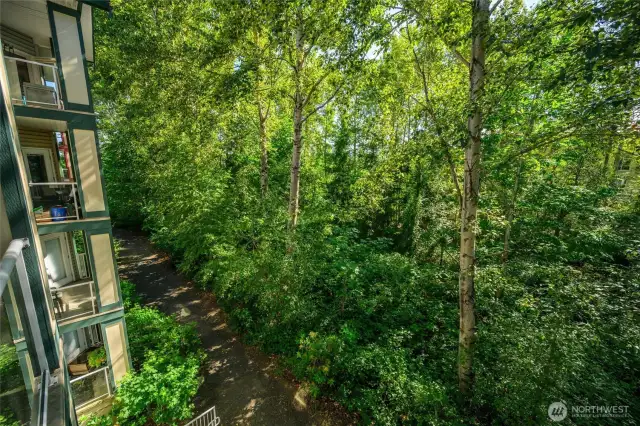 Greenspace