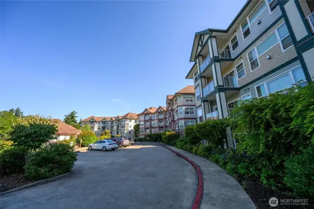 Circle drive with guest parking
