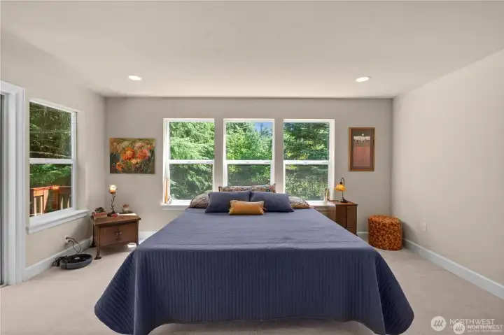 Huge windows to view the tree tops