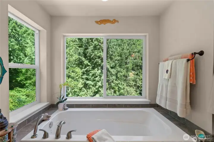 No need for curtains in the private primary bath