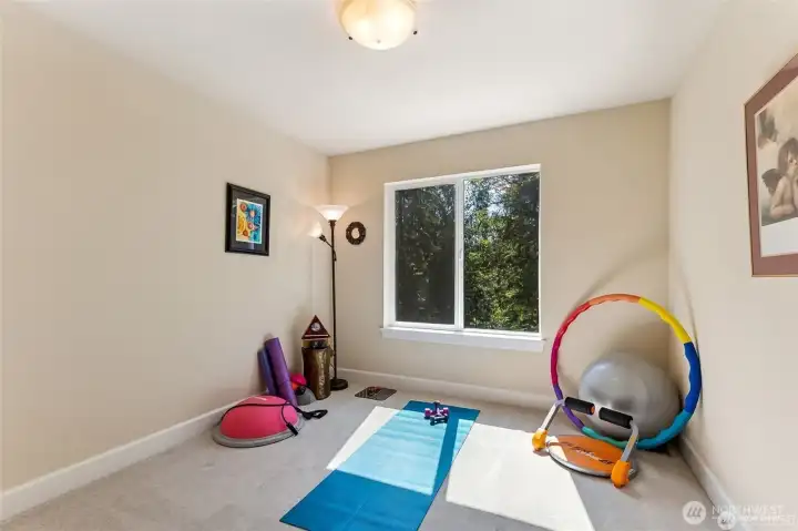 Guest room or private gym