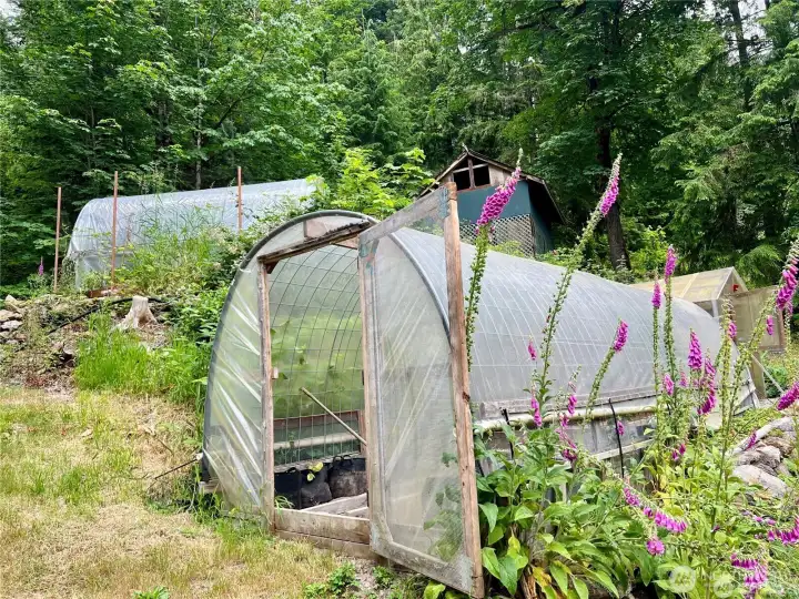 Greenhouse