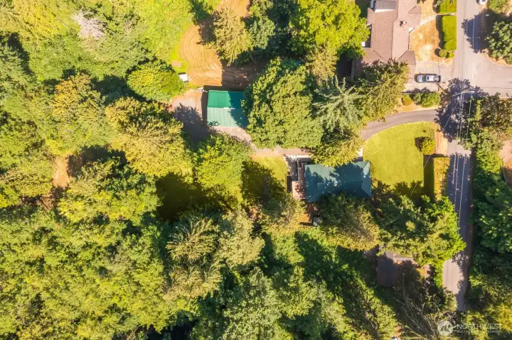 Large lot offers a bit of open space, sunlight, shade, trees and privacy