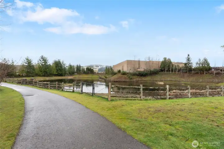 The pond, park and trail opposite the house.
