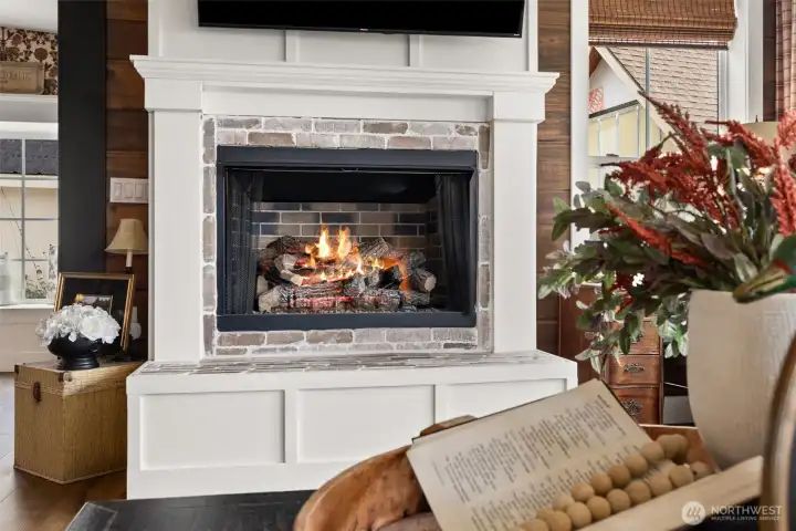 Fireplace Propane