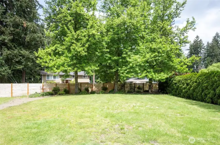 Large fenced front yard