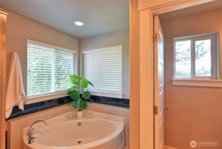 Relaxing soaking tub for a spa-like experience.