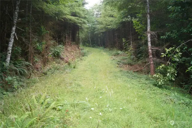 Road coming into the property.