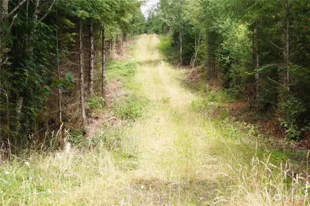 Road coming into the property.