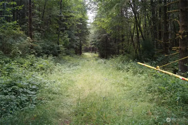 Entrance along Wynooche Wishkah Road