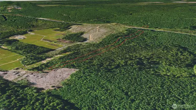 Overhead view with approximate boundaries in red.