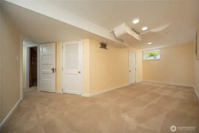 Lower level bedroom 1