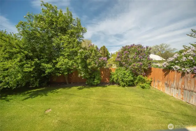 Fenced back yard