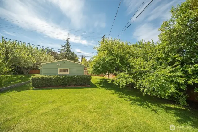 Back yard with mature landscape and sprinklers