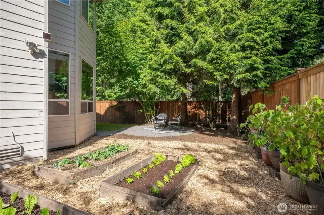 Raised veggie beds!