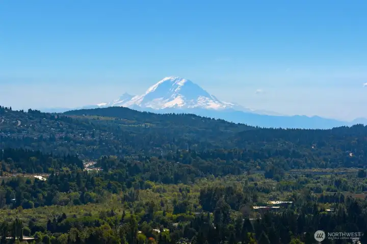 Majestic Mt. Rainier
