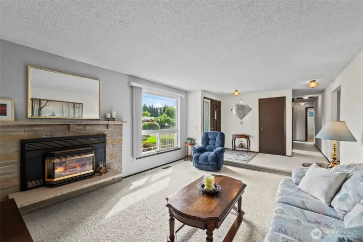 There is a step into the living room of this mid-century home. Carpet is in great shape. The gas fireplace keeps you extra cozy on those chilly evenings.