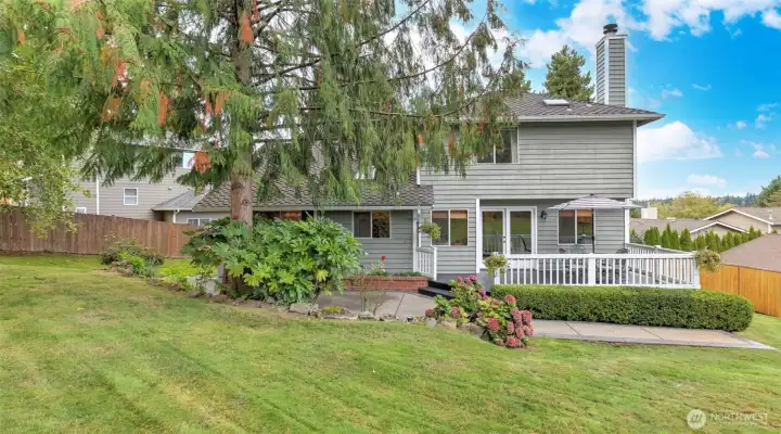 Enjoy your private & expansive yard with vibrant plantings and lush greenery.
