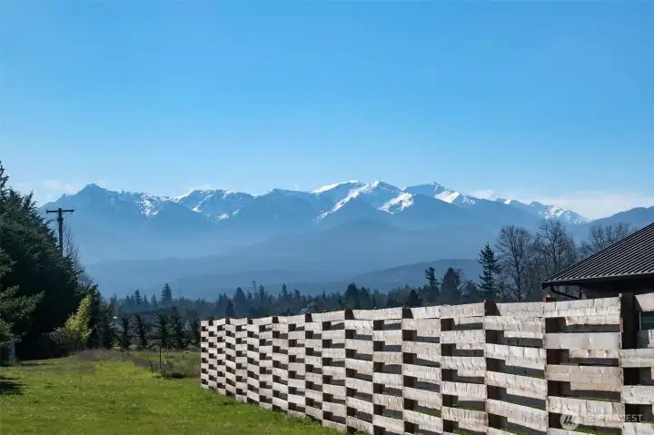 Olympic Mountain View