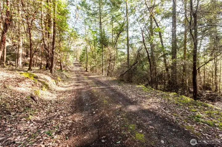 Entrance Driveway