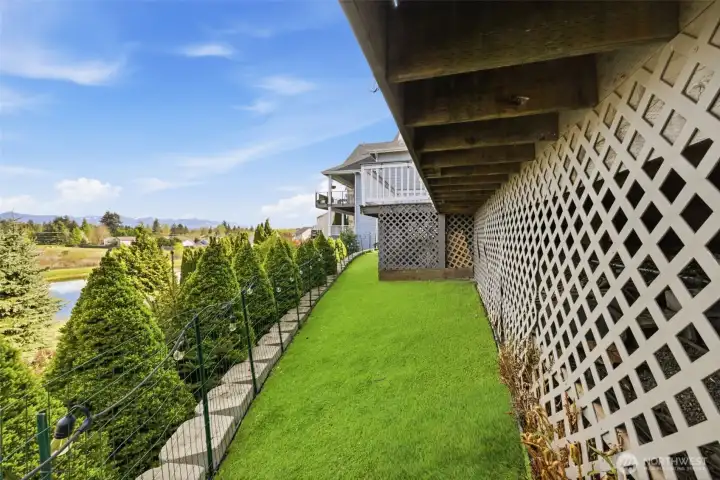 Dog Run w/Astro-Turf