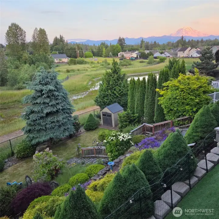 Property in Full Bloom in the Summertime