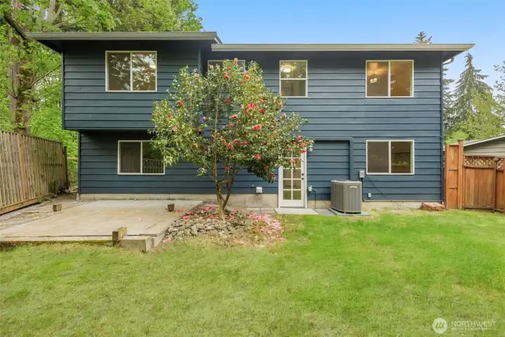 Backyard with lots of privacy