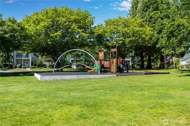 Nearby playground