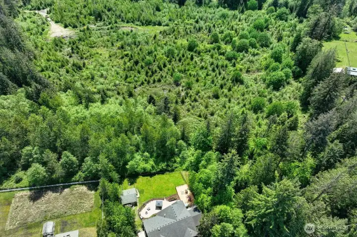 Backing to 20 acres of forrests....limited development due to wetlands too. Backing to 20 acres of forrests....limited development due to wetlands too.