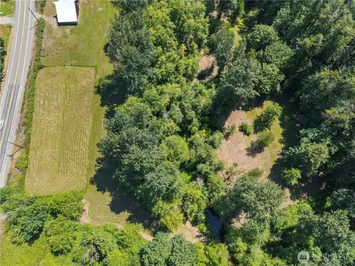 Pond in the back area of property.