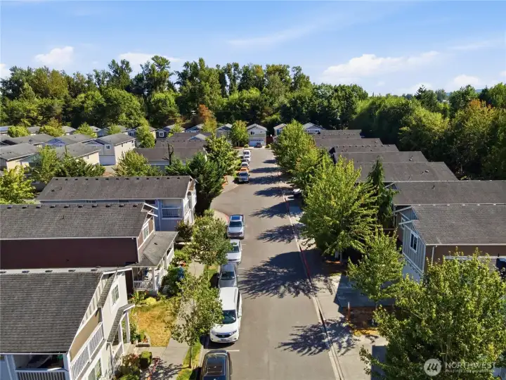 Tree lined streets.