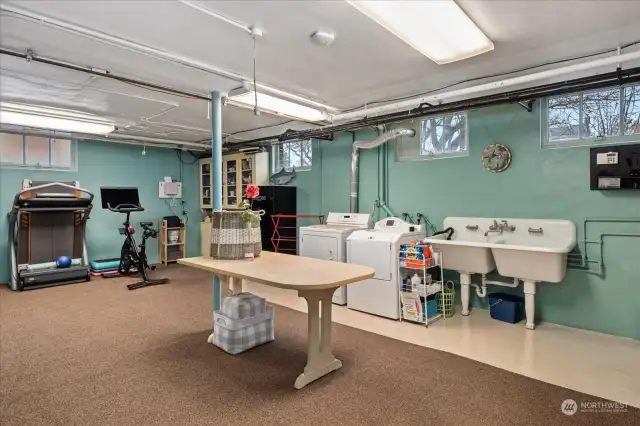 Basement - laundry area