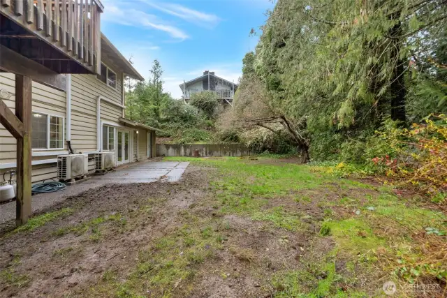 back yard