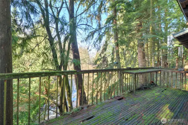 Deck overlooking the Creek