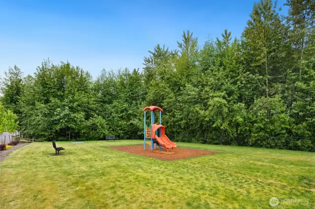 Community park across the street