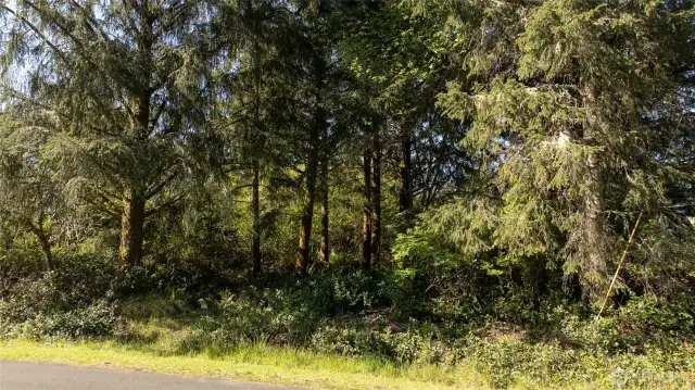 A view from the street.