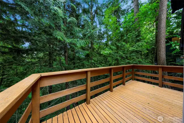 Another view of the deck with treehouse feel