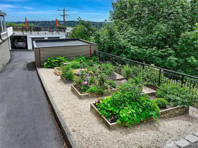 Driveway on the south side of the property leads to your garage.  Enjoy the building pea patch!