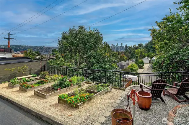 Even the pea patch has a city view.