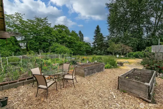 Trolly Hill Park Pea Patch.