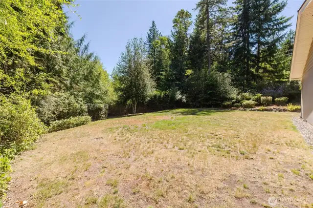 Spacious and private yard!