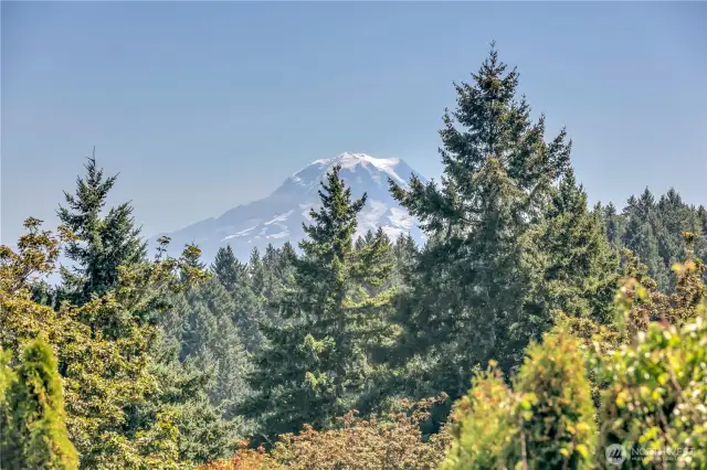 Stunning Mt. Rainier and territorial views from the gorgeous top-floor, end-unit condo!