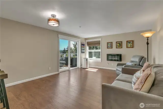 Once you enter the living room, you'll notice how much natural light flows in, along with views of Mt. Rainier! The electric fireplace on the far wall enhances the ambiance, and you can move it to any wall you'd like! The flooring is a high-quality laminate plank.