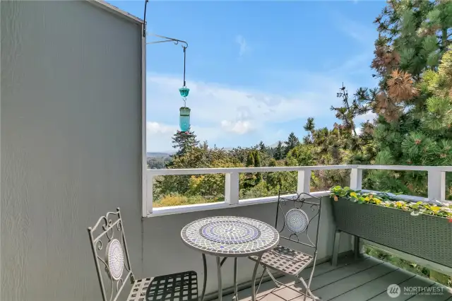 Here's a view of the deck and there is even a small, raised garden area. The strawberries should be ripe when you move in!