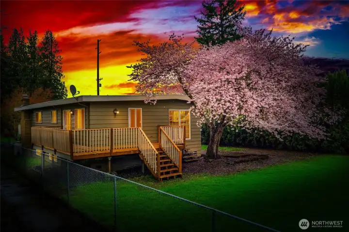 From under this Cherry tree in the back yard is a perfect place to find sanctuary.  This back yard feels very private and it fully fenced (ready for your puppy).