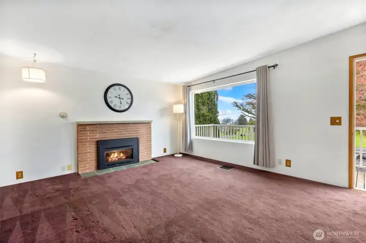 Cozy gas fireplace - Hardwoods under the carpet - Great natural lighting in this space.