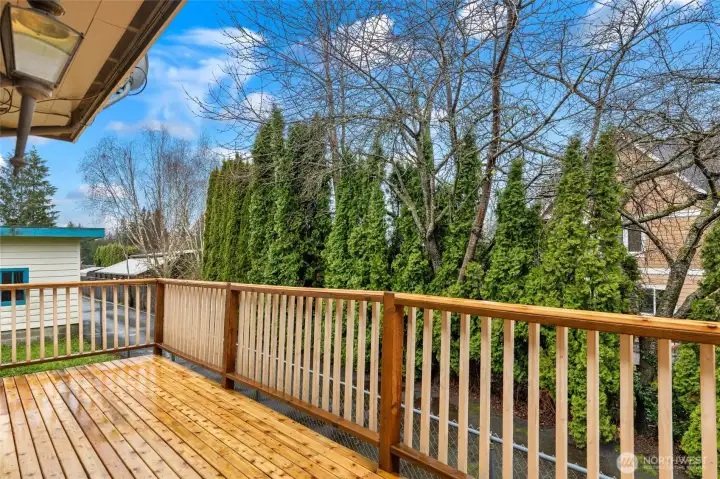 New Decking and Railing.