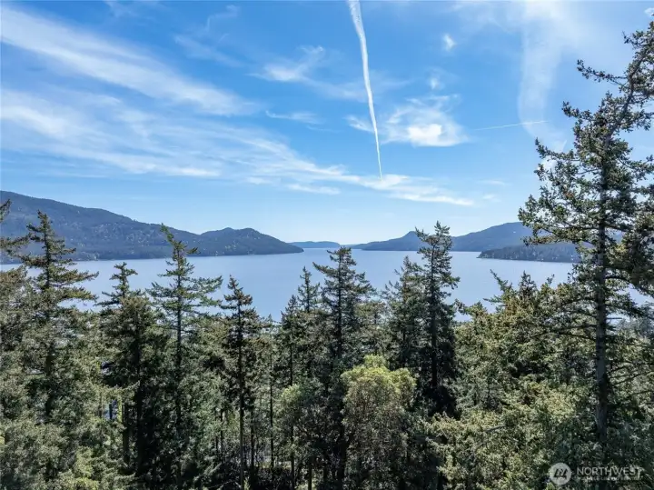 Sun-drench South facing marine views through the treetops and down East Sound.